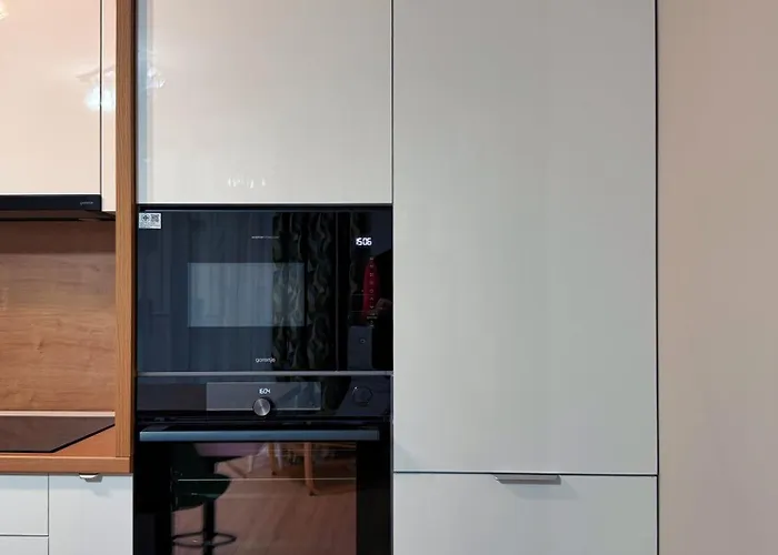 Boutique - Private Parking - Powered By Neo * טימישוארה